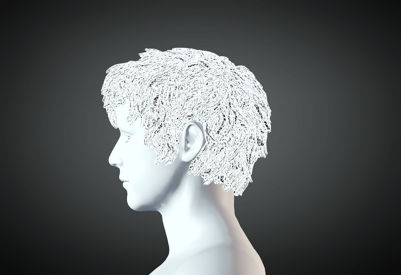 3D Hair style for Man 82 3D model 3D print model_3