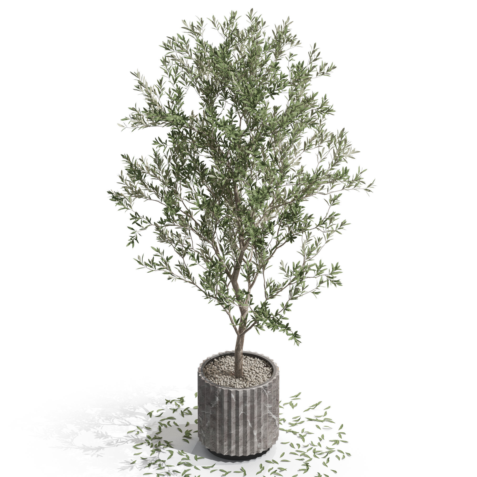 Plants collection 722 3D model_2