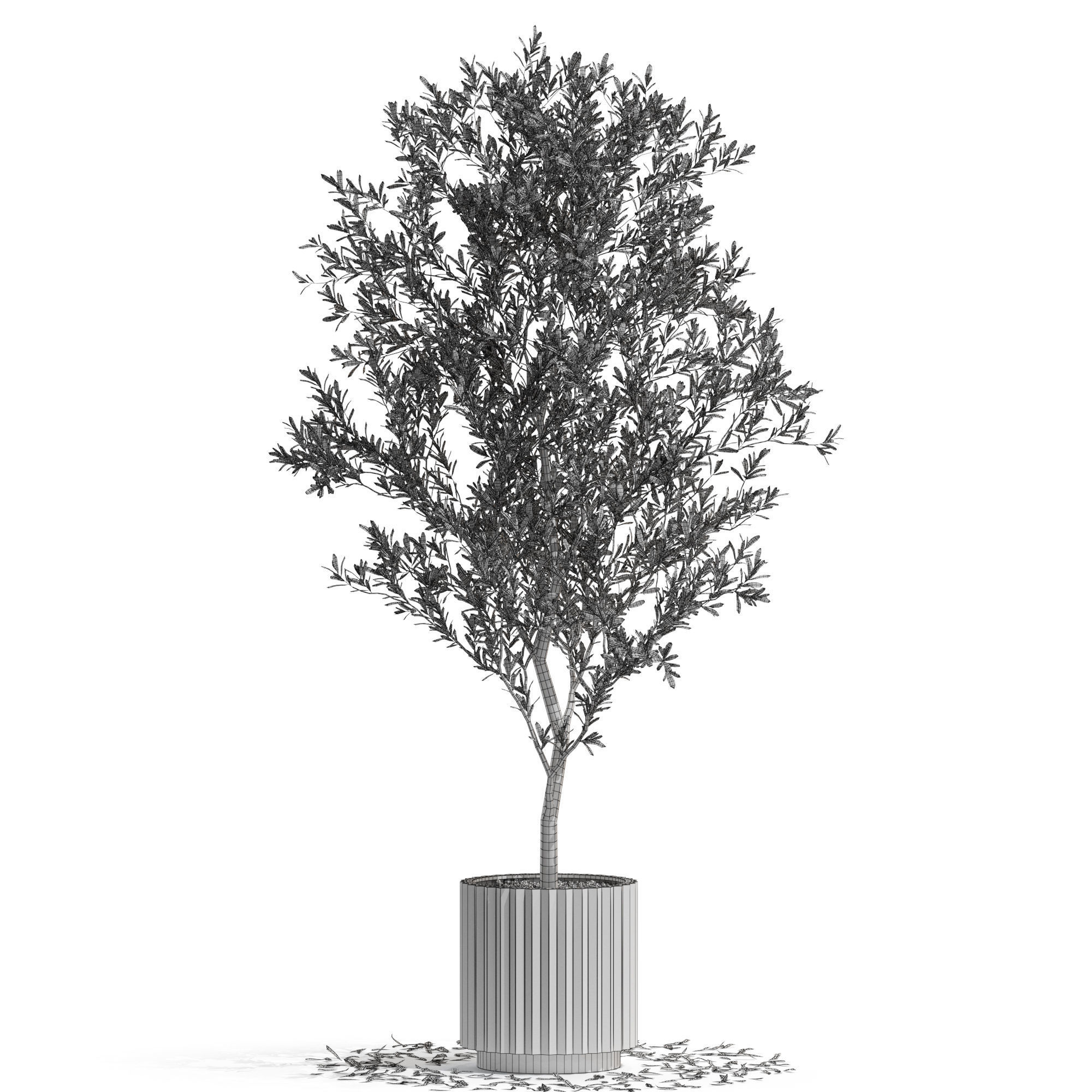 Plants collection 722 3D model_3