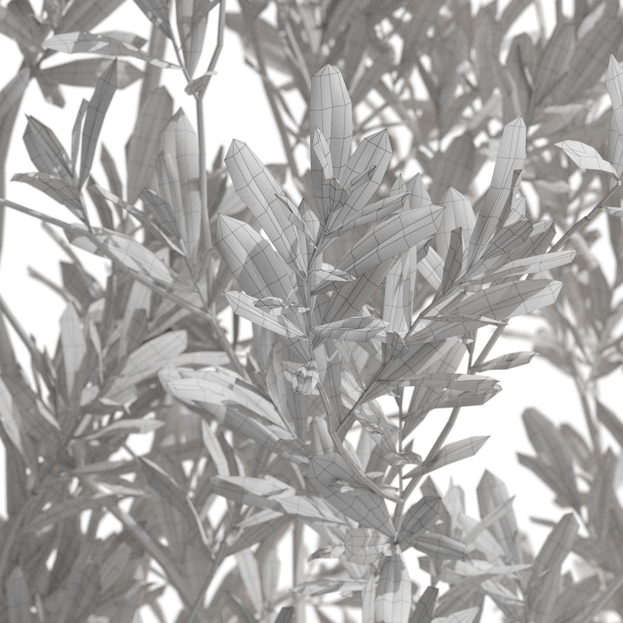 Plants collection 722 3D model_4