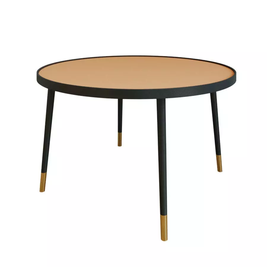 Dila coffee table 3D model_0