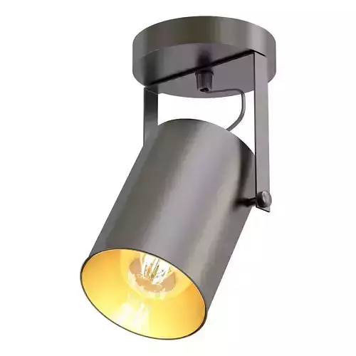 Stilfort-Neider light fixture with bulb