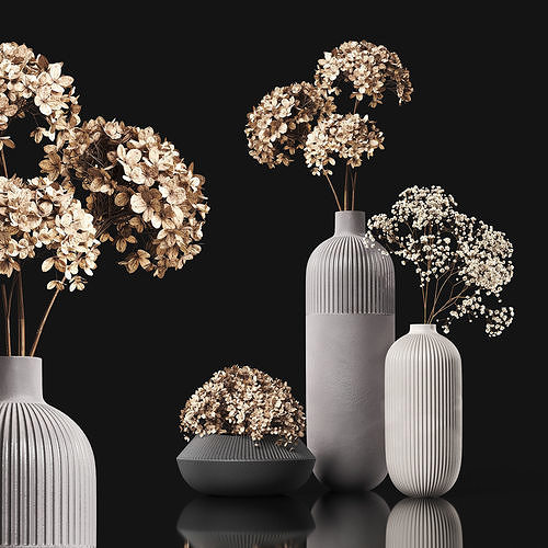Dry plants 3D model