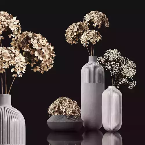 Dry plants 3D model