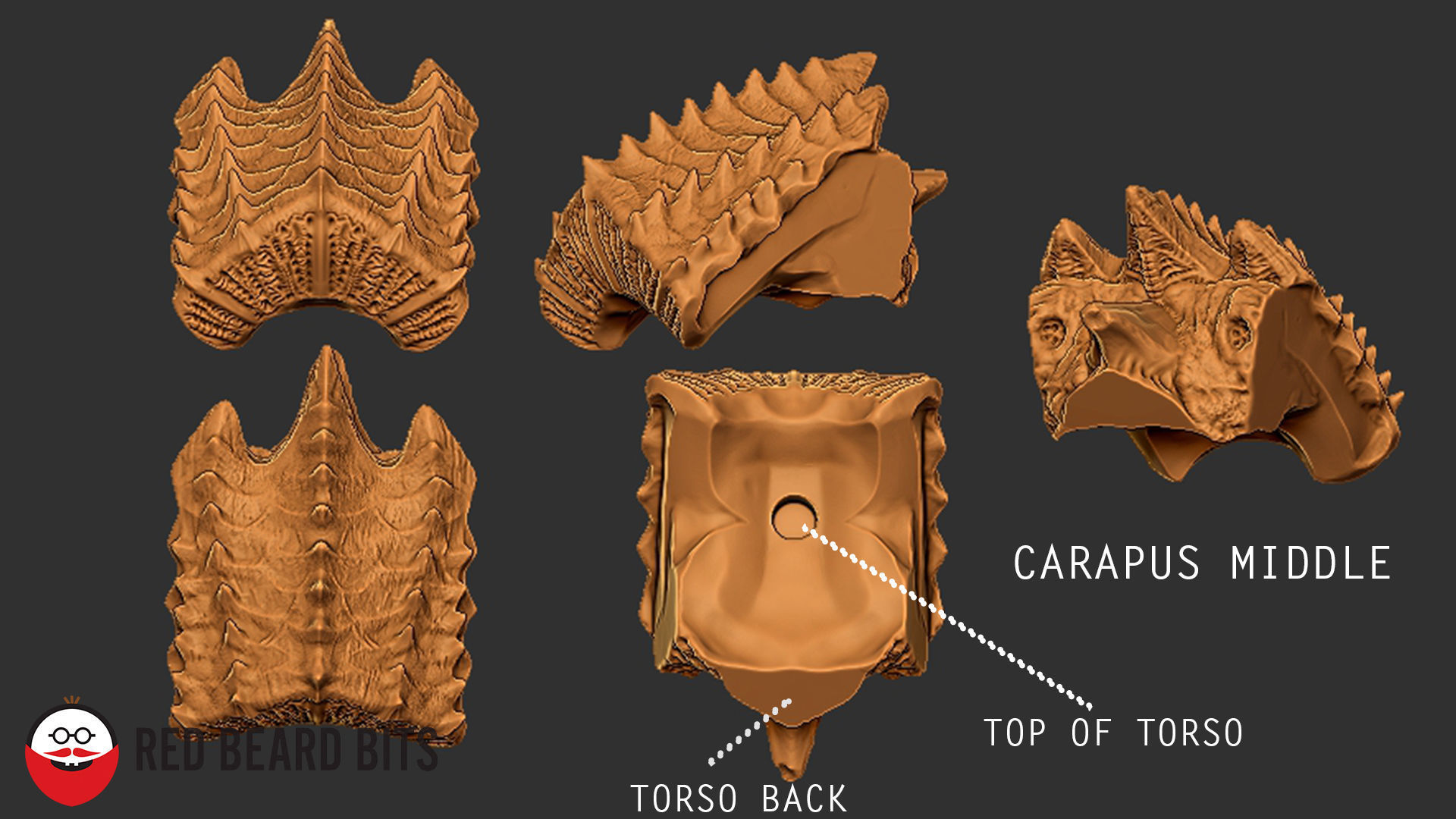 Xenoteras Crusher 3D print model_10