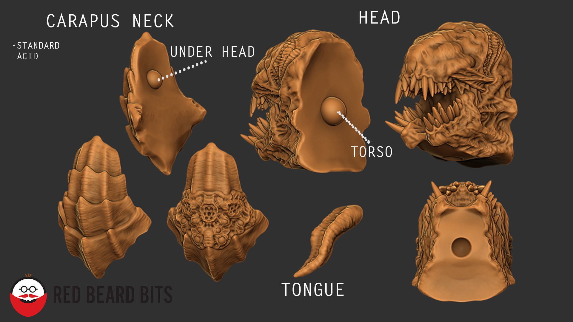 Xenoteras Crusher 3D print model_8