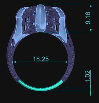 Ultra Vision Ring 667 3D print model_6