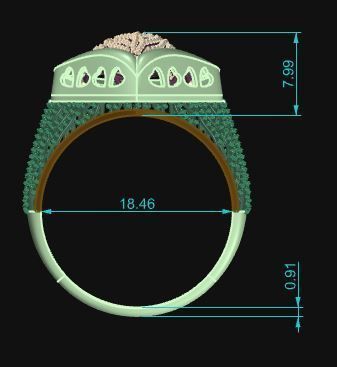 Ultra Vision Ring 690 3D print model_8