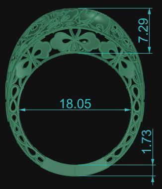 Ultra Vision Ring 711 3D print model_6