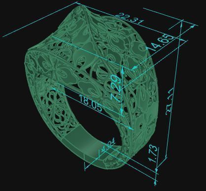 Ultra Vision Ring 711 3D print model_8