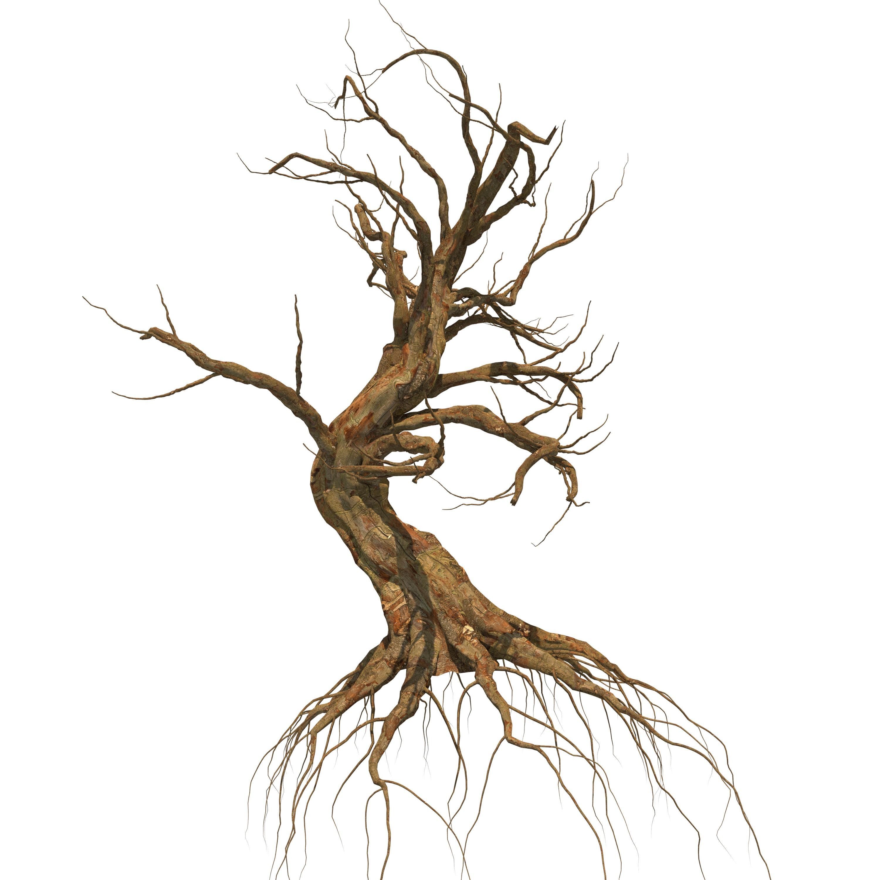 Dead Forest 3D model_16