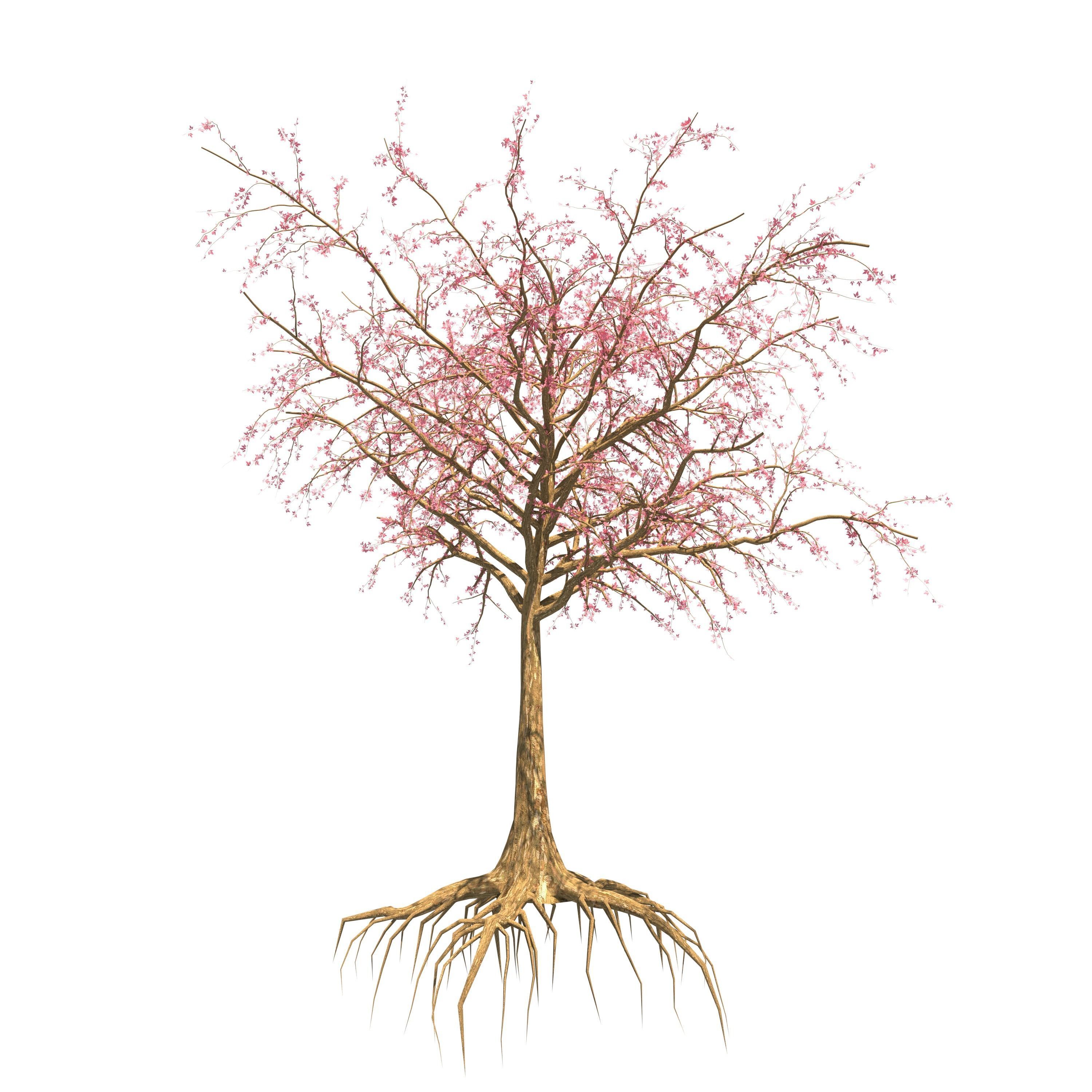 Dead Forest 3D model_33