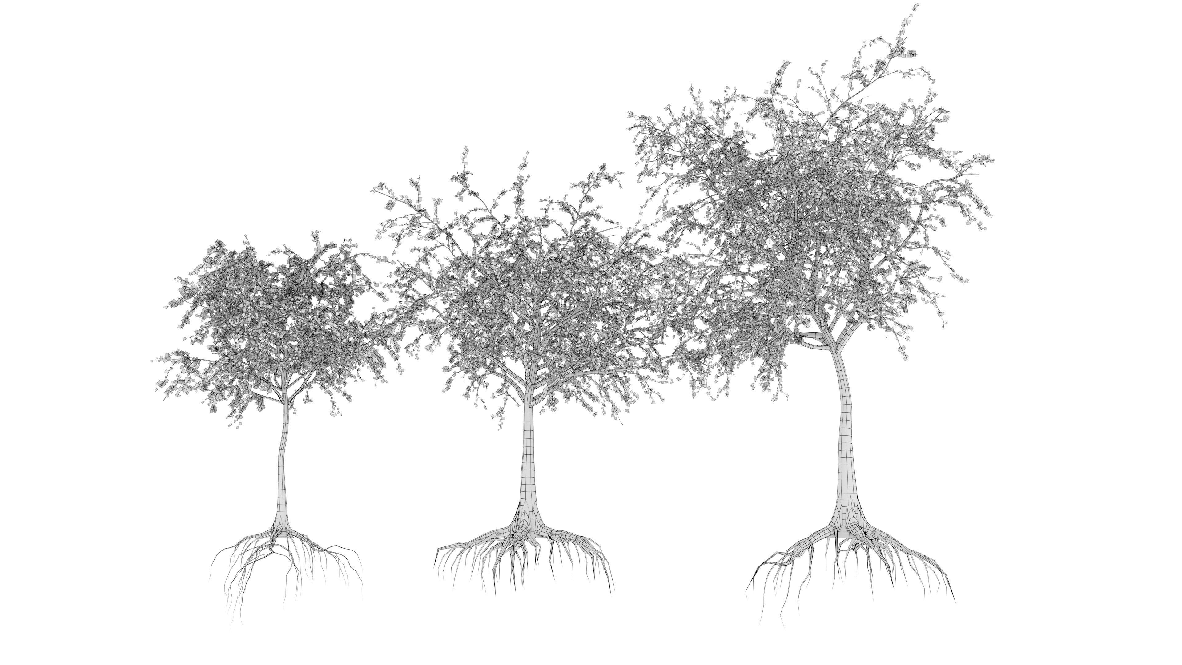 Dead Forest 3D model_29