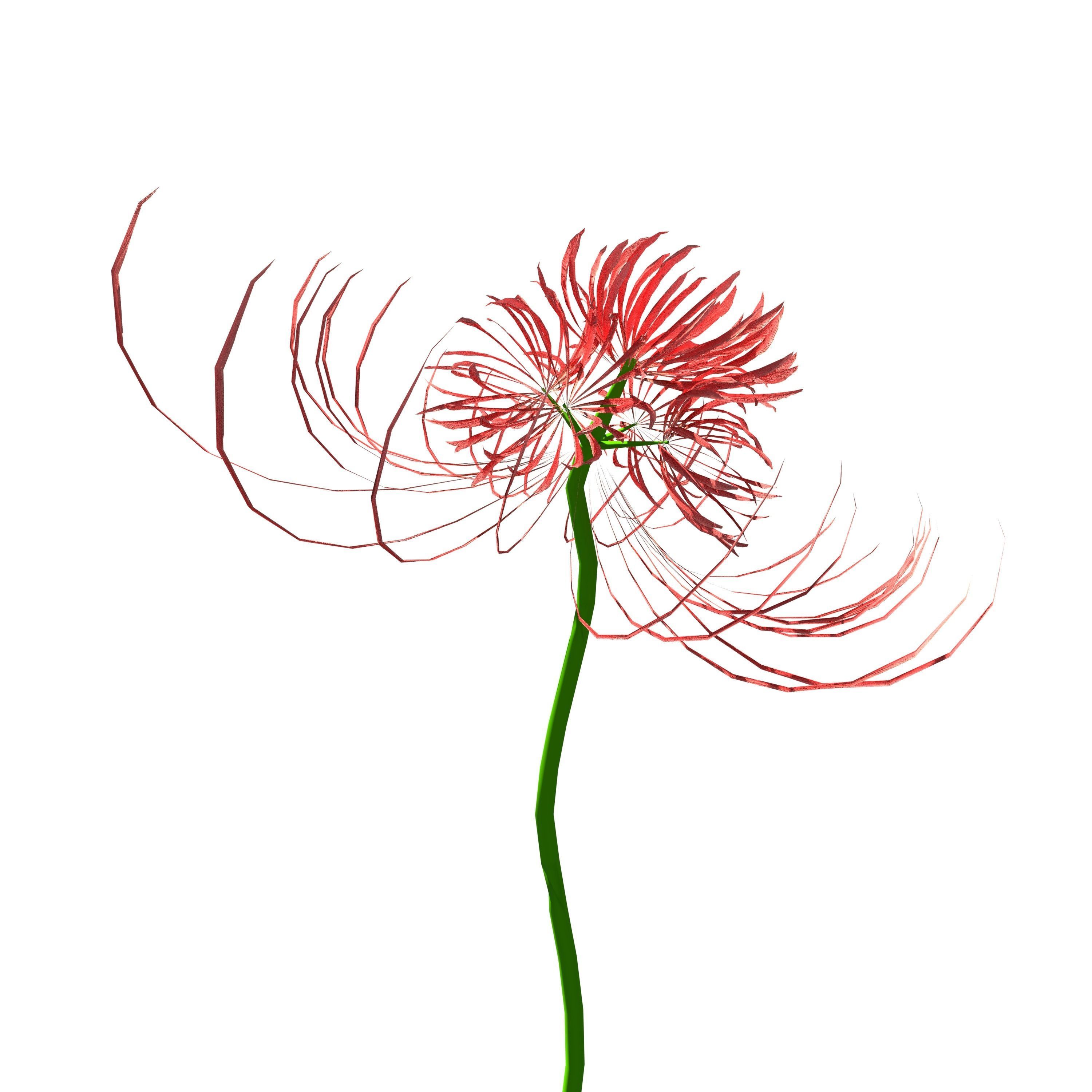 Dead Forest 3D model_19