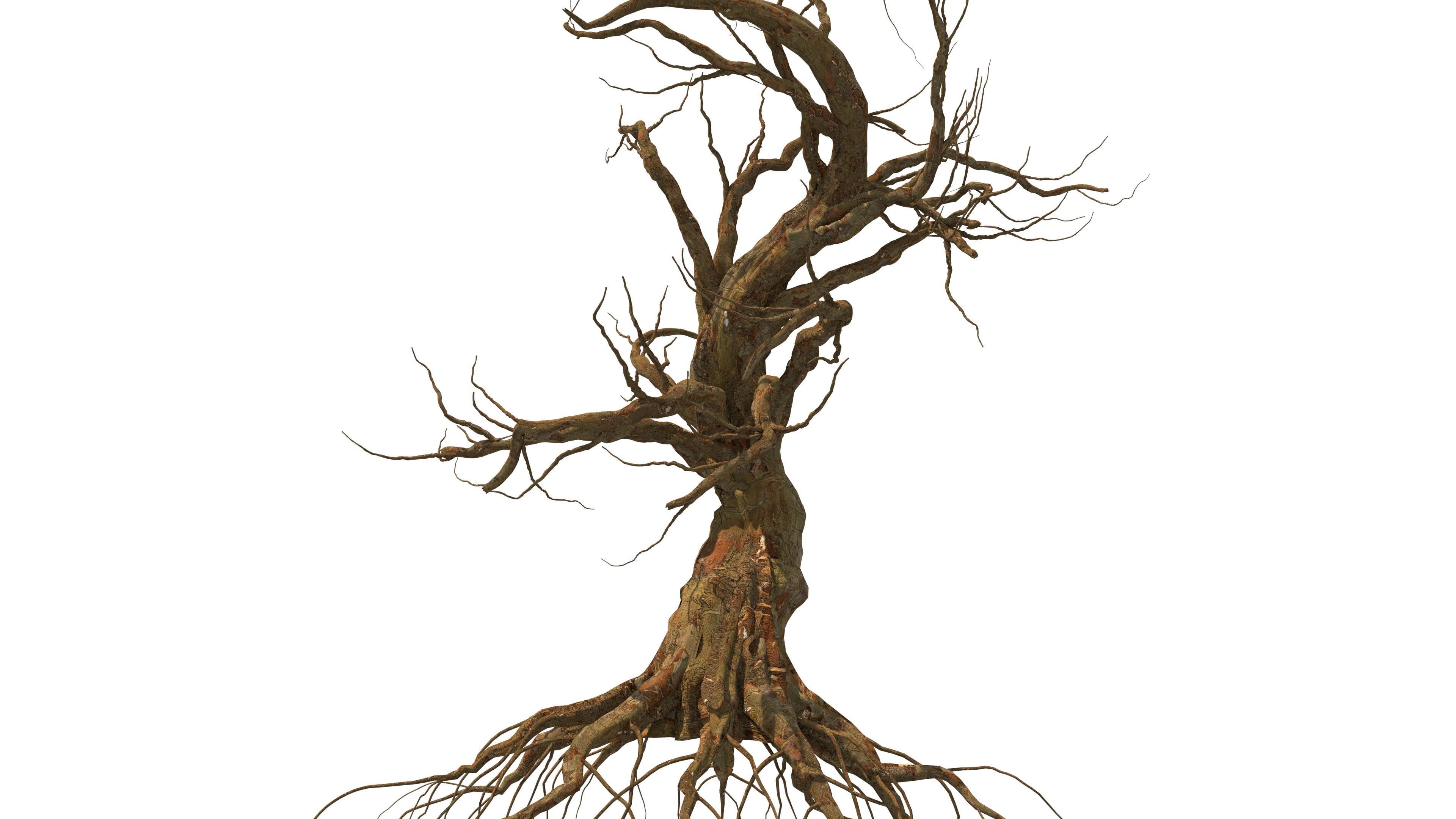 Dead Forest 3D model_15