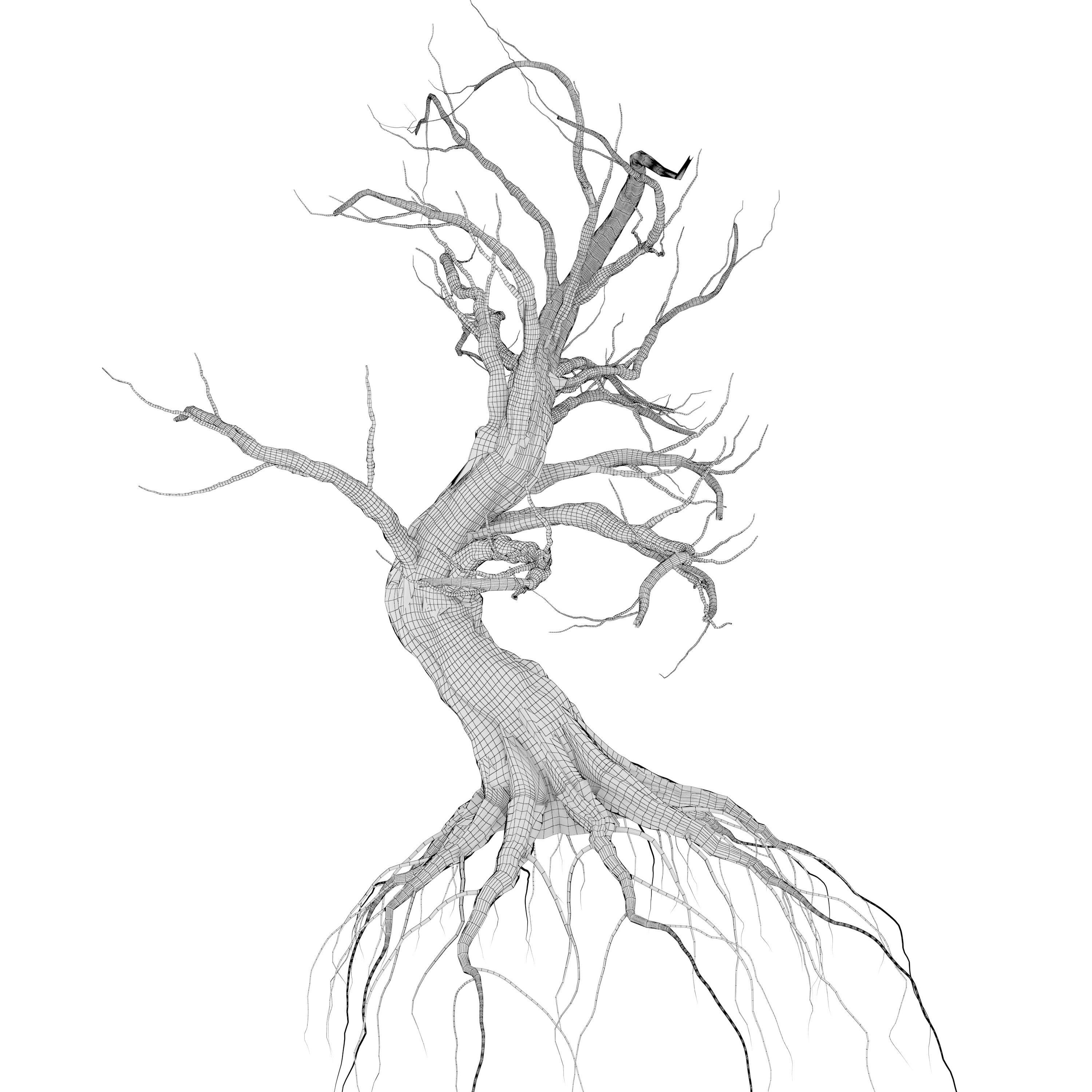 Dead Forest 3D model_12