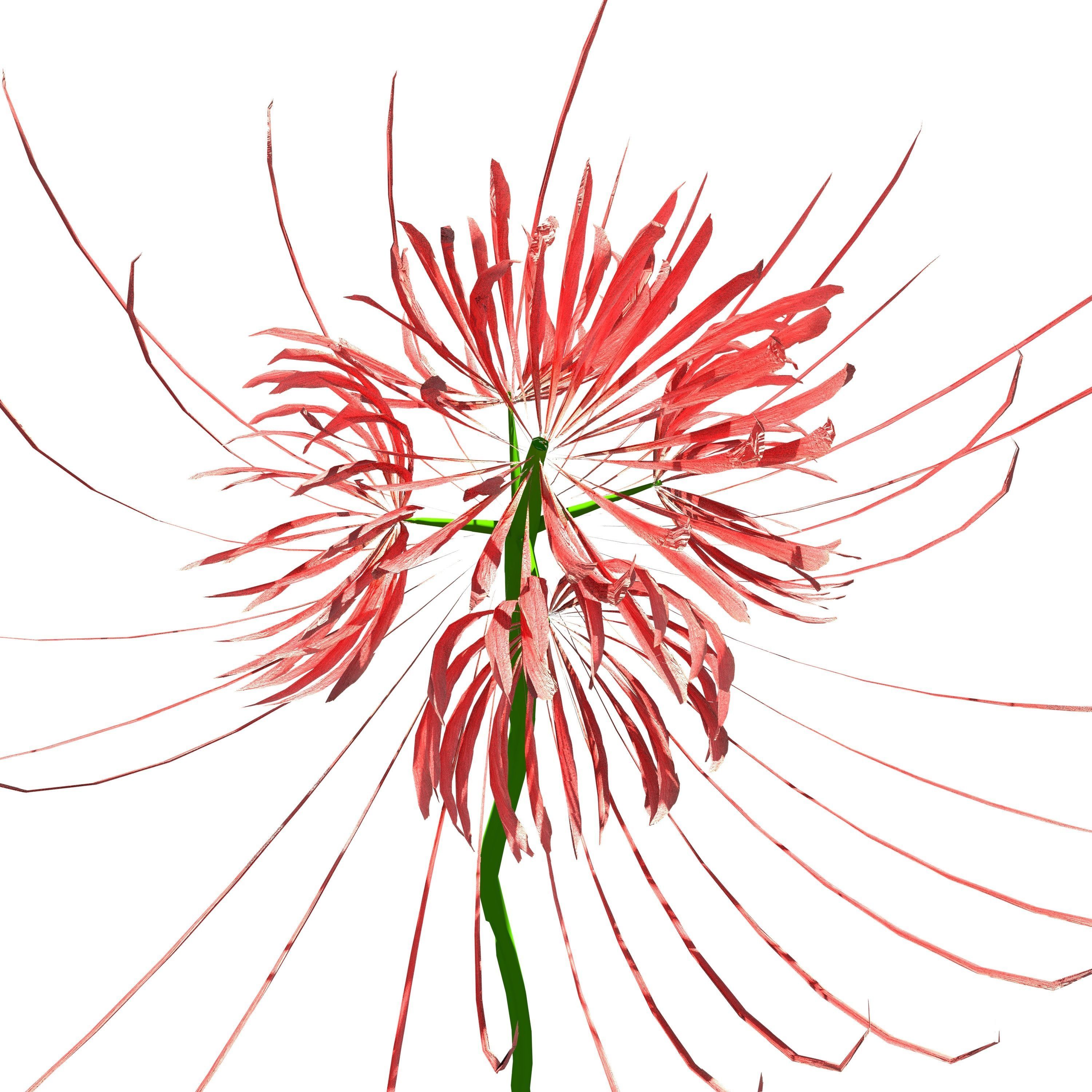 Dead Forest 3D model_26