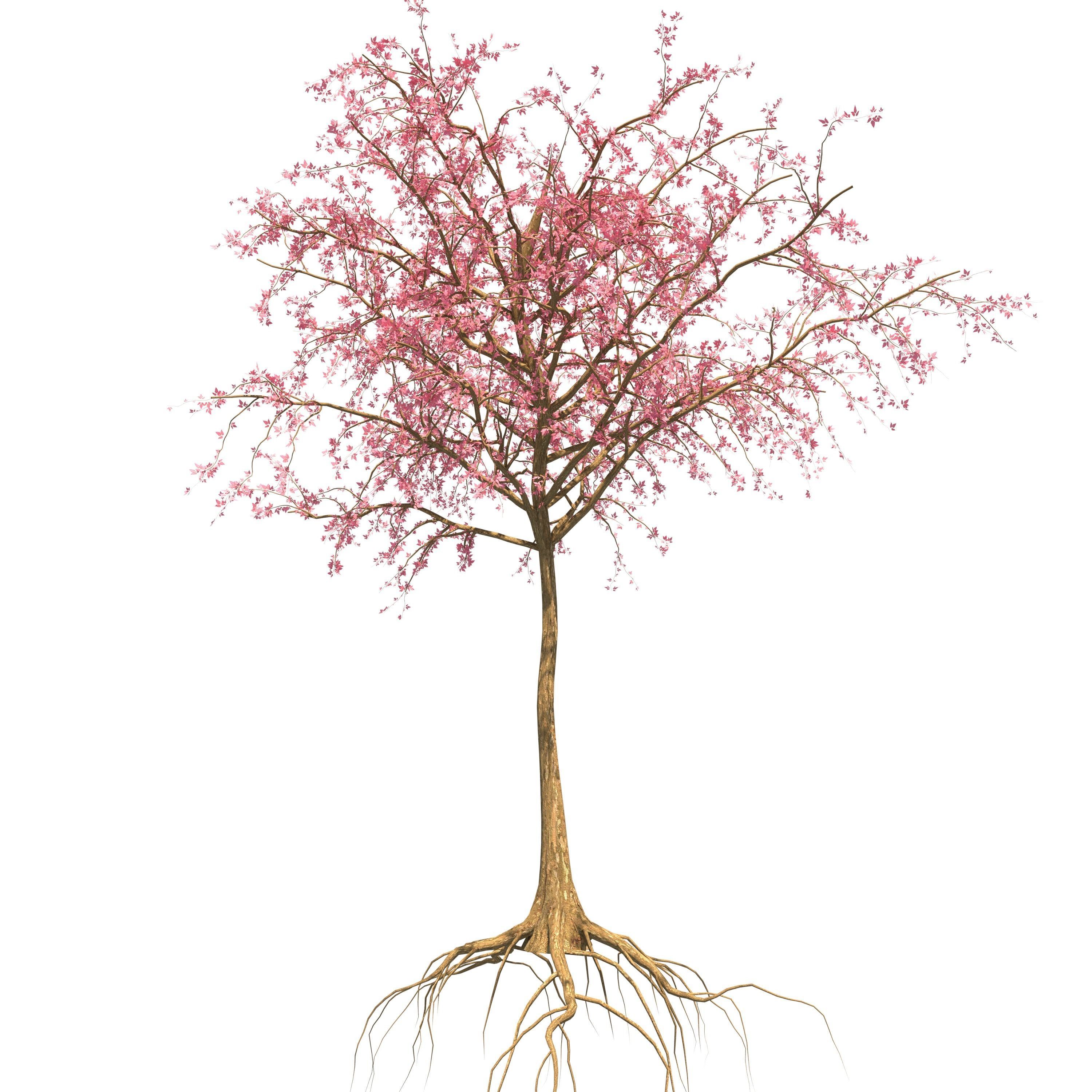 Dead Forest 3D model_32