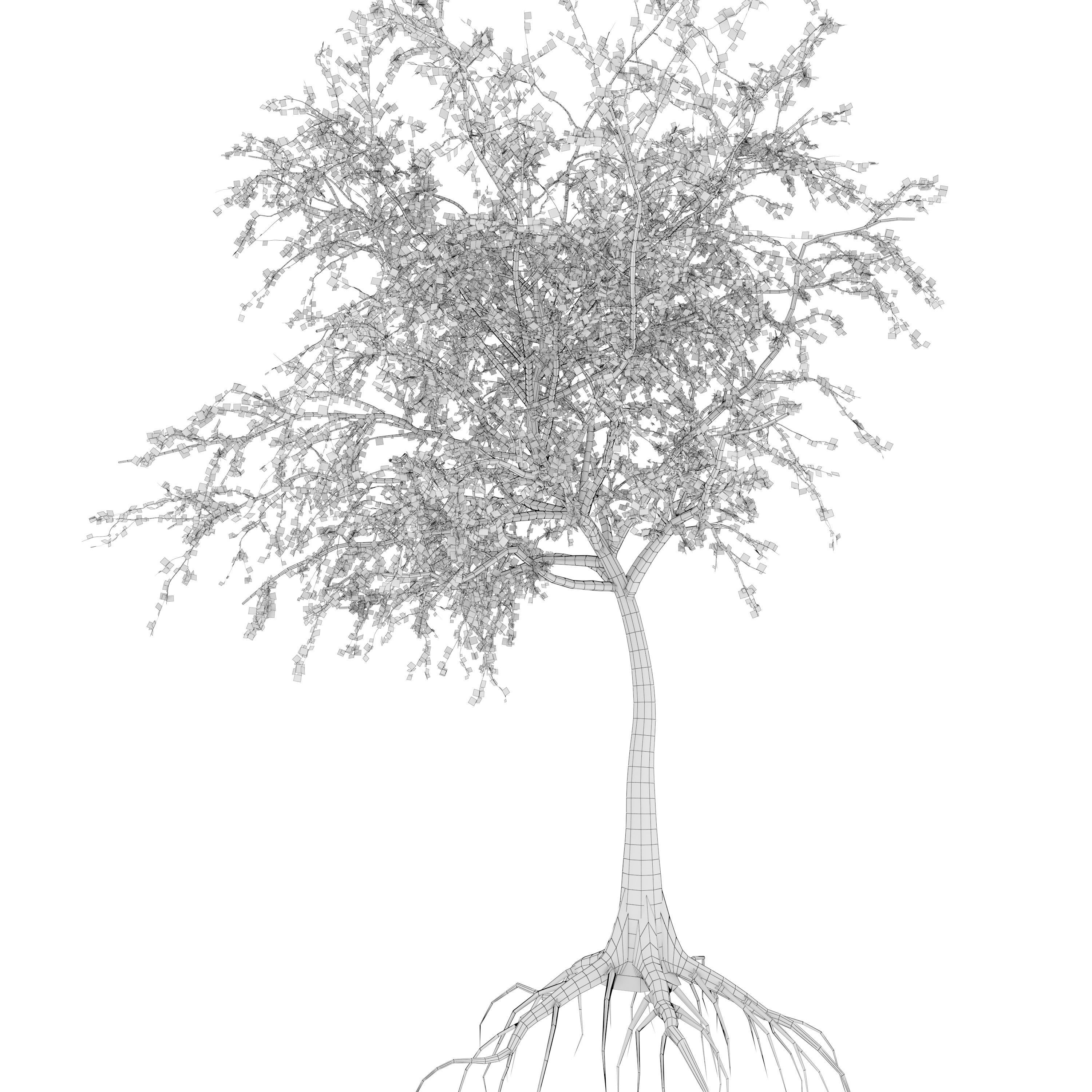 Dead Forest 3D model_34