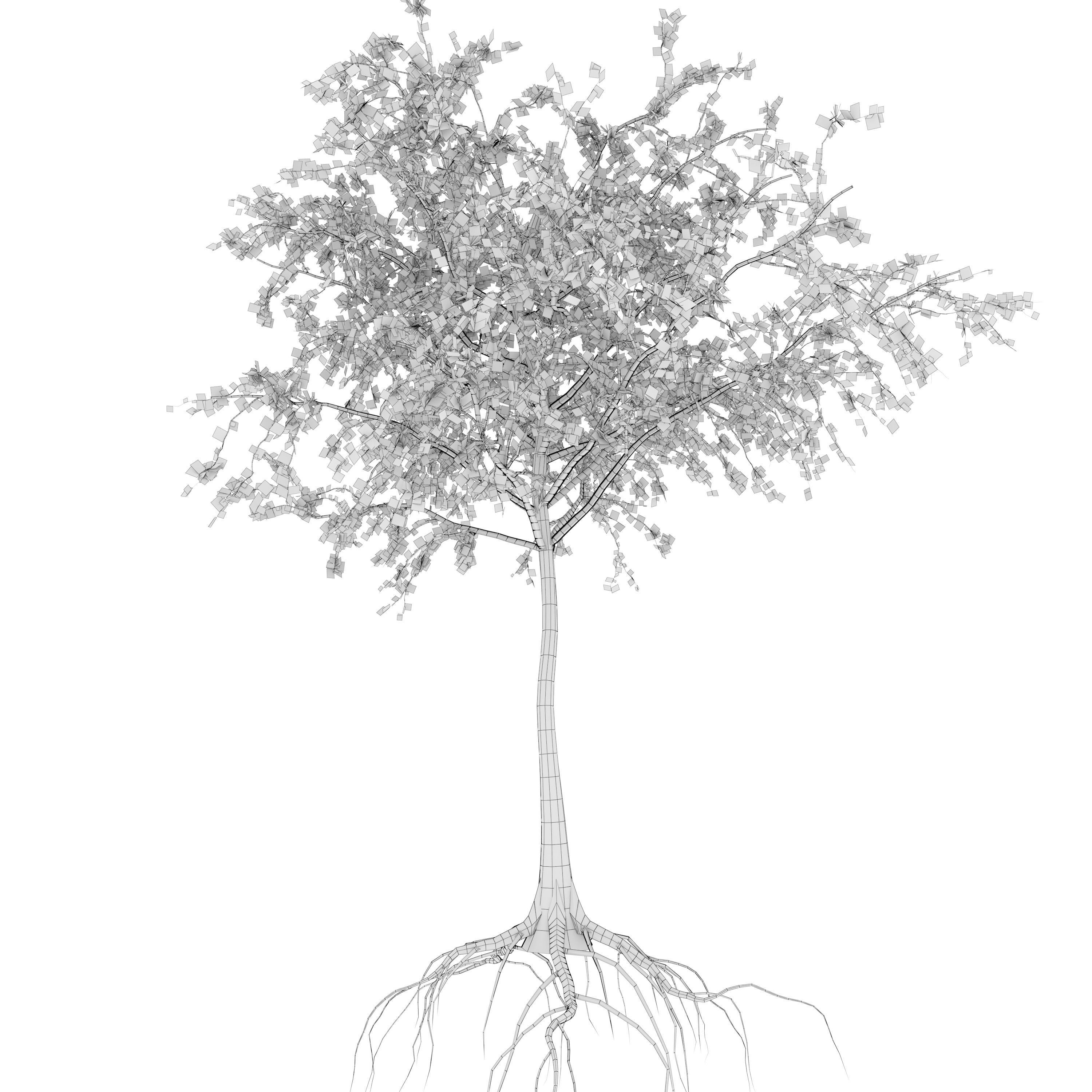 Dead Forest 3D model_31