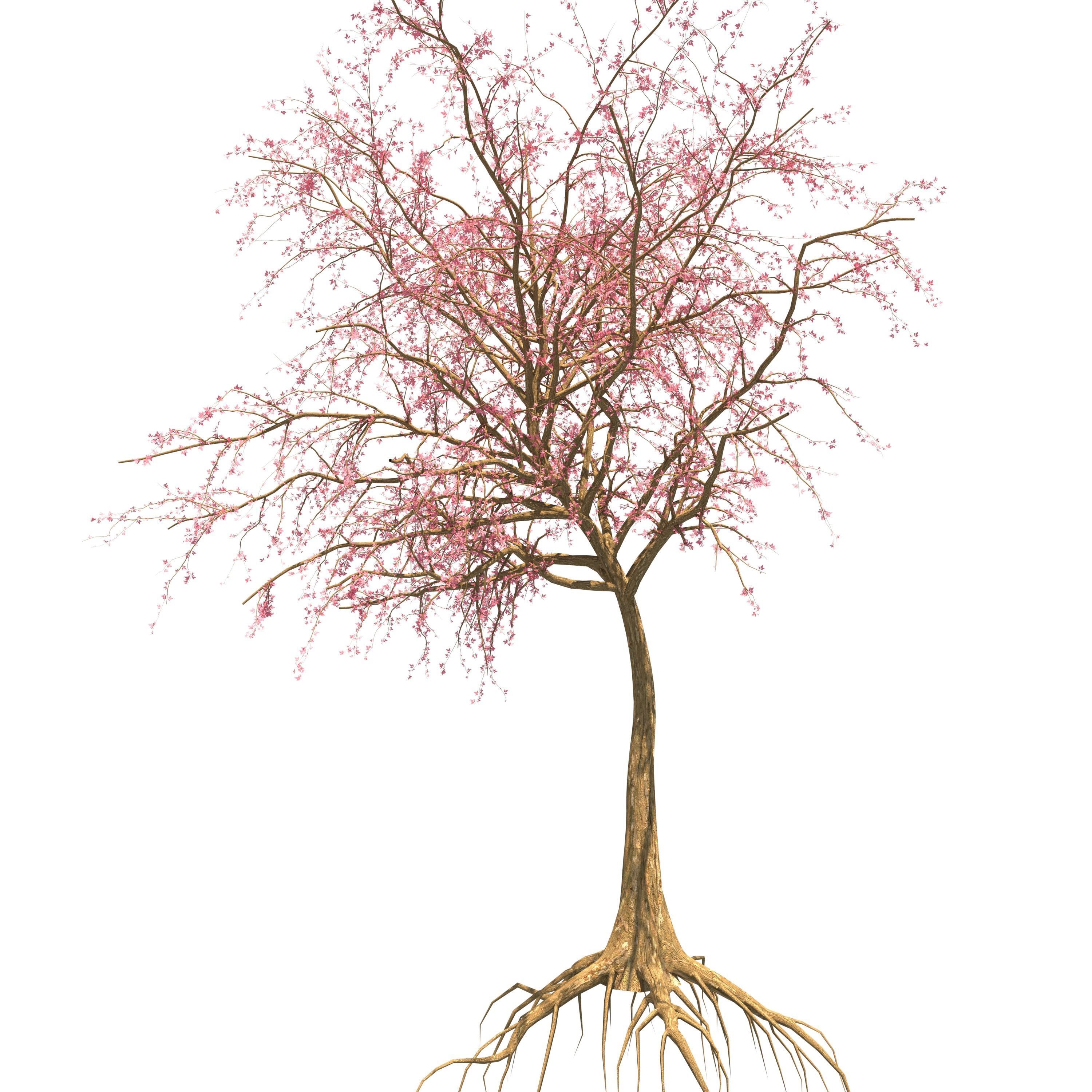 Dead Forest 3D model_35