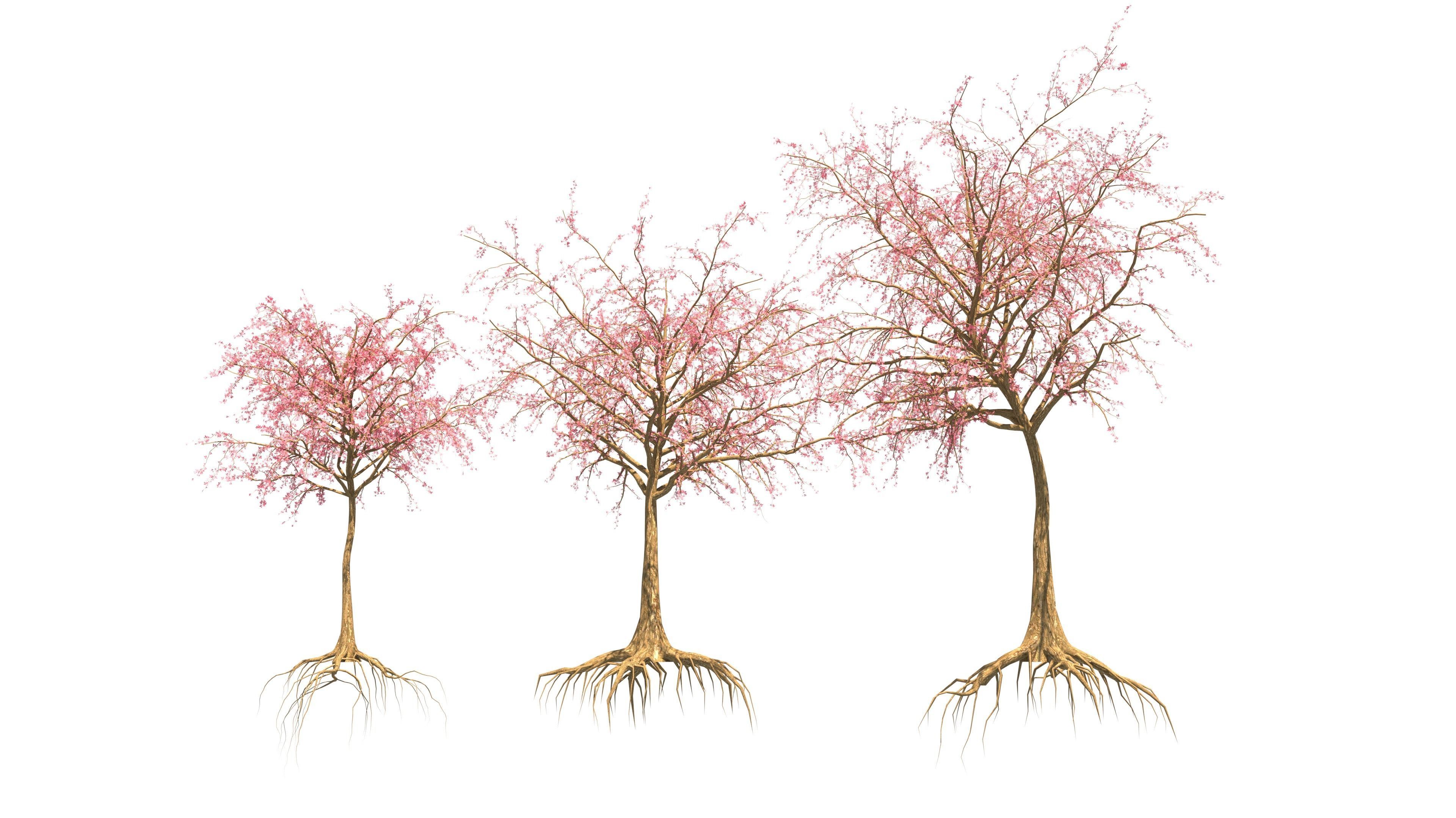 Dead Forest 3D model_28