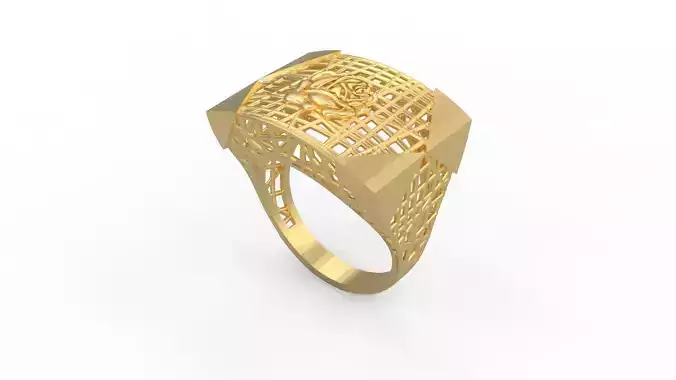 Ultra Vision Ring 735