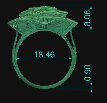 Ultra Vision Ring 741 3D print model_6