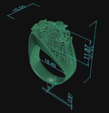 Ultra Vision Ring 744 3D print model_7