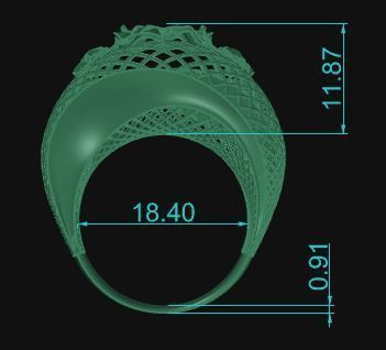 Ultra Vision Ring 744 3D print model_8