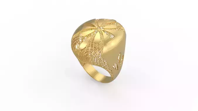 Ultra Vision Ring 760