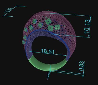 Ultra Vision Ring 762 3D print model_7