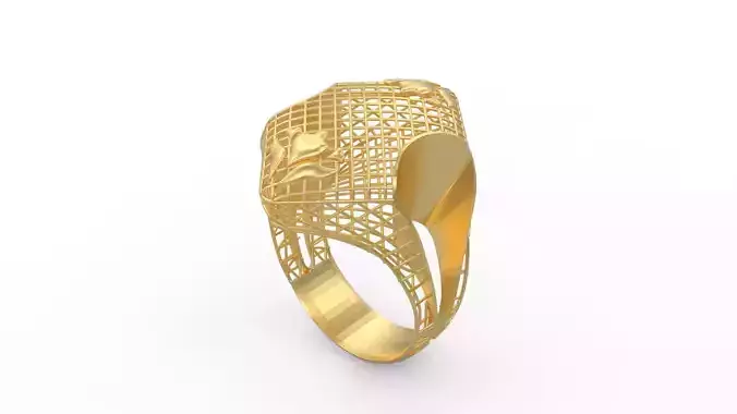 Ultra Vision Ring 764