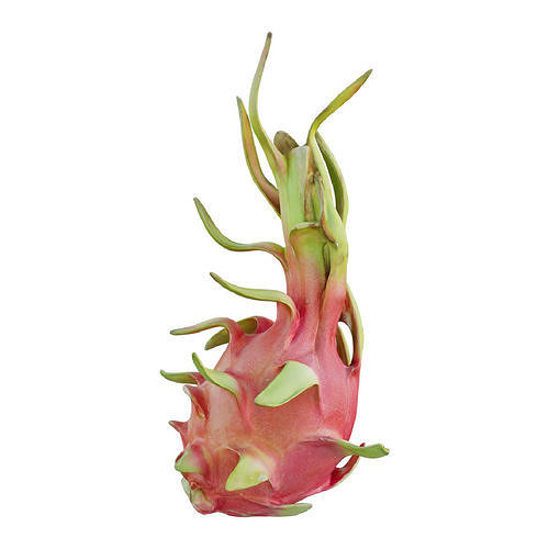 Dragon fruit 12 3D model 2