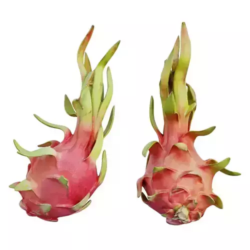 Dragon fruit 12