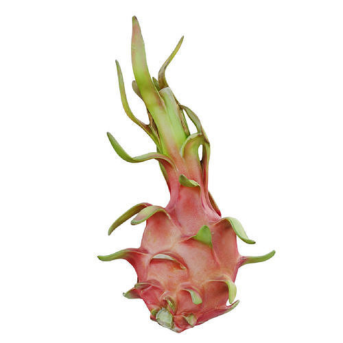 Dragon fruit 12 3D model 3