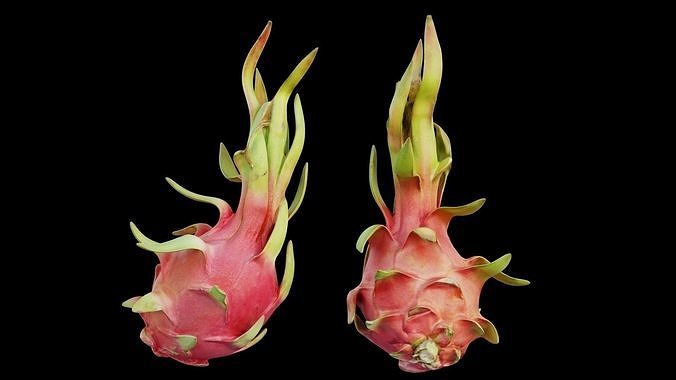 Dragon fruit 12 3D model 6