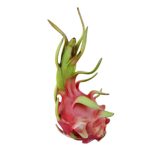 Dragon fruit 12 3D model 5