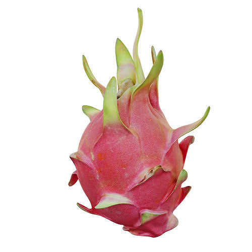Dragon fruit 11 3D model 4