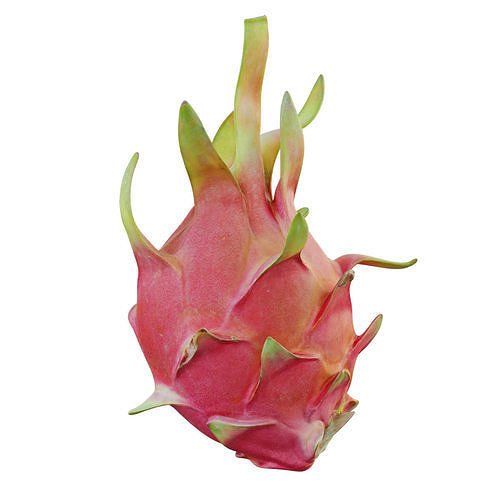 Dragon fruit 11 3D model 3