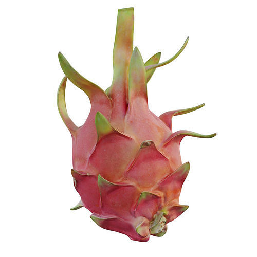 Dragon fruit 11 3D model 2