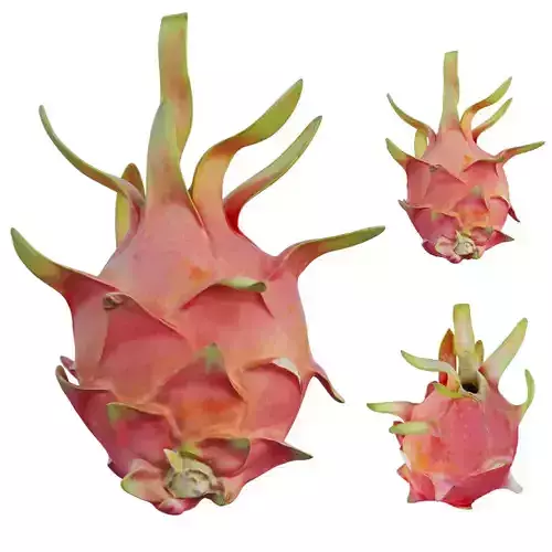 Dragon fruit 11 3D model