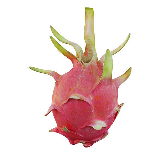 Dragon fruit 11 3D model 5