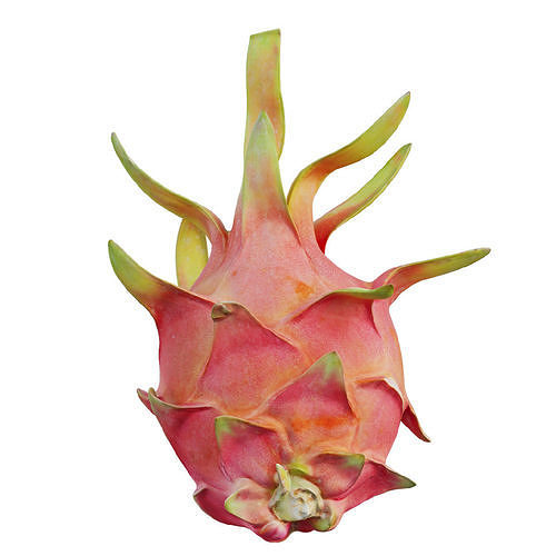 Dragon fruit 11 3D model 7