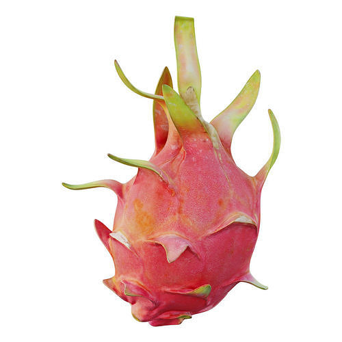 Dragon fruit 11 3D model 6