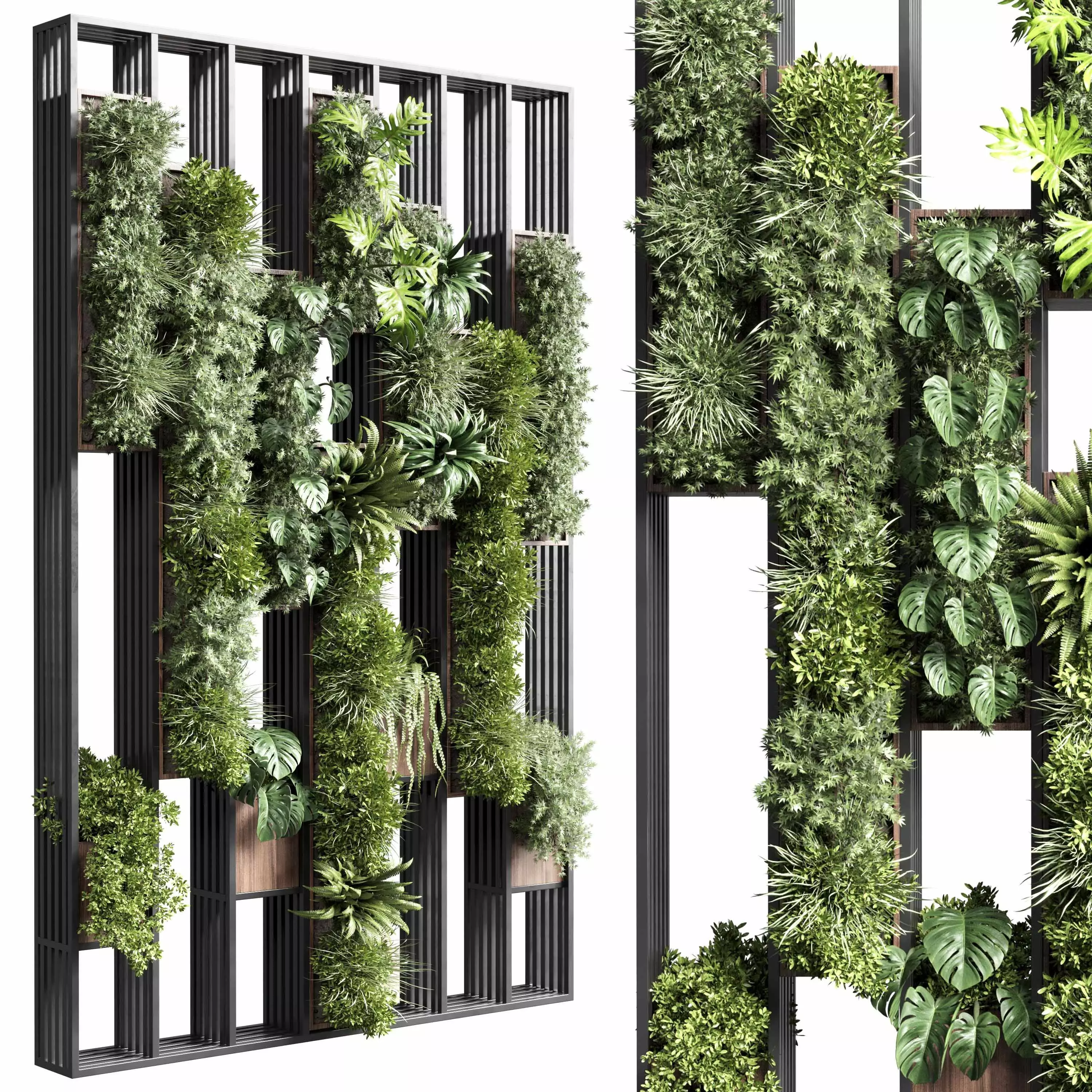 plants set partition in  Vertical graden wall decor box 3D model_0