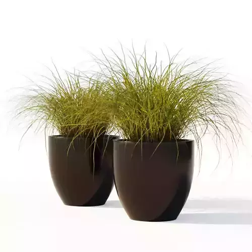 Potted Grass Set