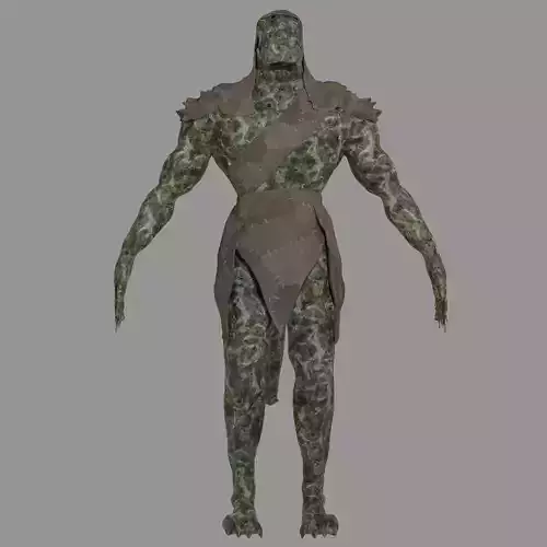 Male Lizardfolk rigged