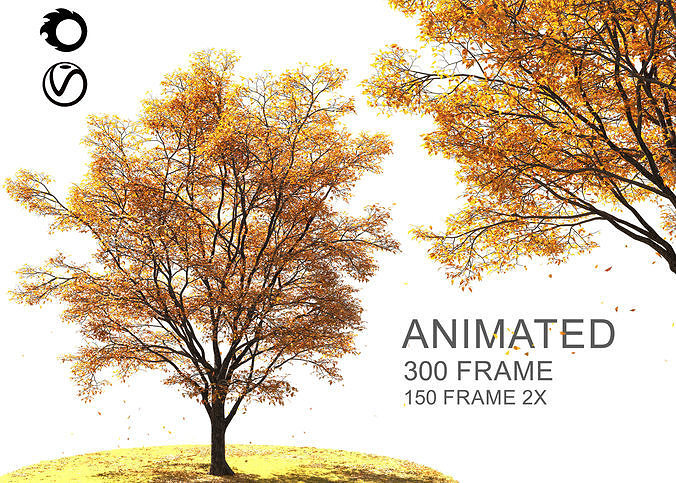 ENGLISH WALNUT TREE Autumn 3D model