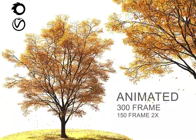 ENGLISH WALNUT TREE Autumn 3D model